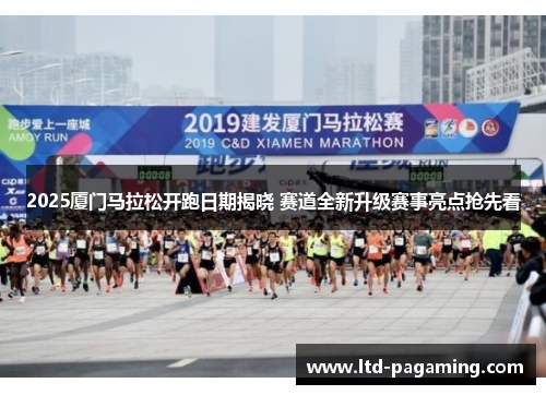 2025厦门马拉松开跑日期揭晓 赛道全新升级赛事亮点抢先看