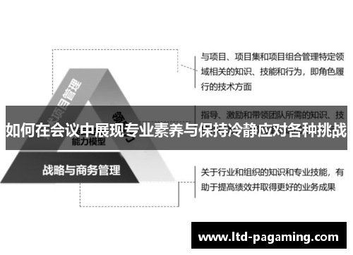 如何在会议中展现专业素养与保持冷静应对各种挑战