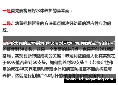 霍伊伦表现的三大关键因素及其对人类行为理解的深远影响分析