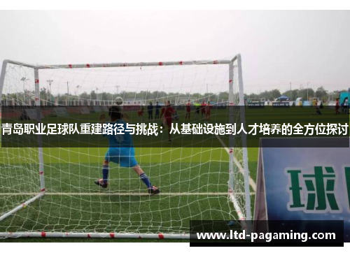 青岛职业足球队重建路径与挑战：从基础设施到人才培养的全方位探讨