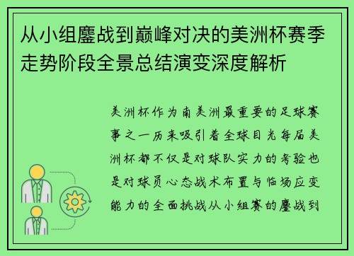 从小组鏖战到巅峰对决的美洲杯赛季走势阶段全景总结演变深度解析