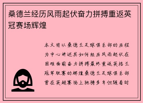 桑德兰经历风雨起伏奋力拼搏重返英冠赛场辉煌